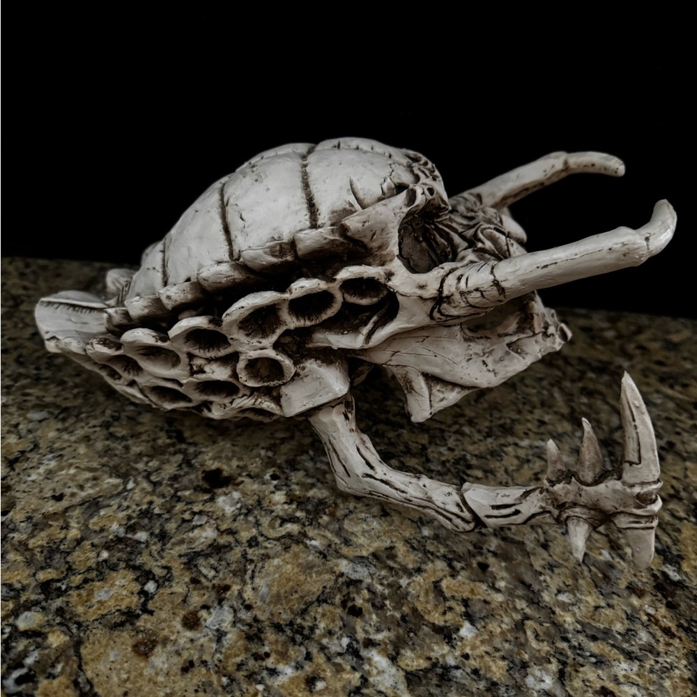 Predator skull Yautja Trophy from Alien vs. Predator and Predator movies Resin - Picture 5 of 10